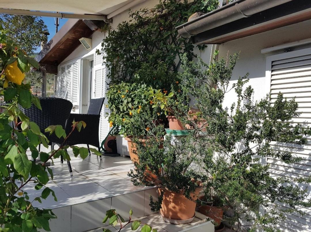 B&B Dei Doria & Suite Dolceacqua Buitenkant foto