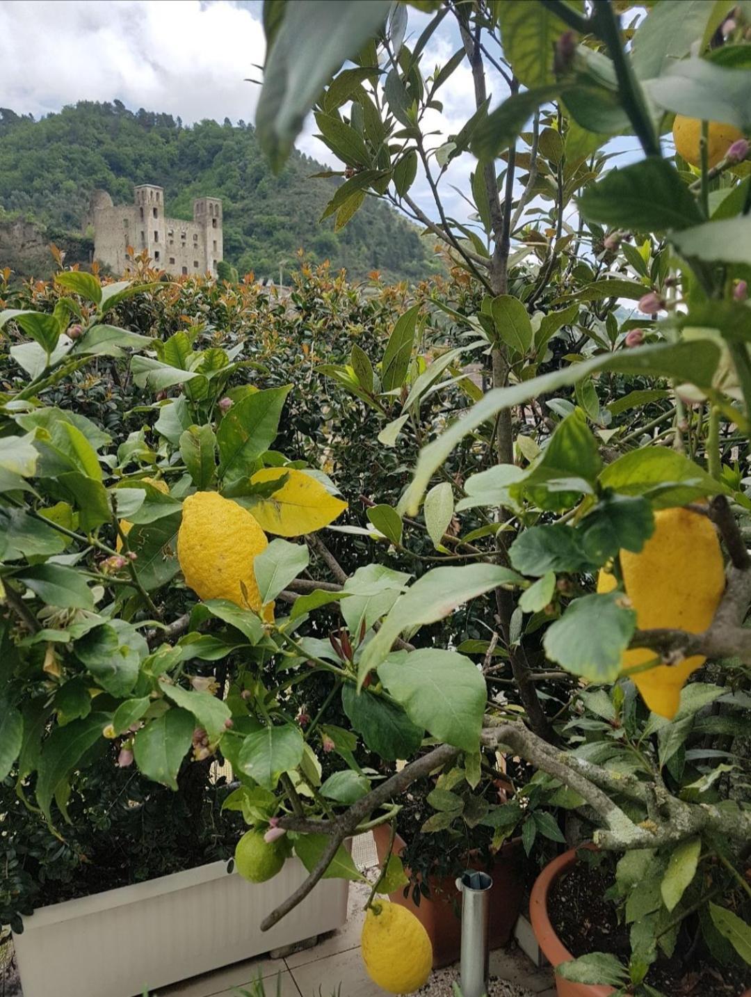 B&B Dei Doria Dolceacqua Buitenkant foto